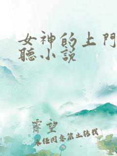 女神的上门豪婿听小说