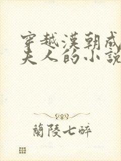穿越汉朝成为戚夫人的小说