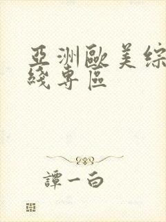 亚洲欧美综合在线专区