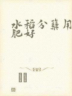水稻分蘖用什么肥好