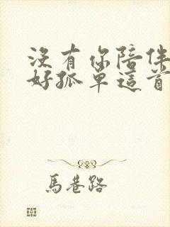 没有你陪伴真的好孤单这首歌的含义