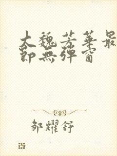 大魏芳华最新章节无弹窗