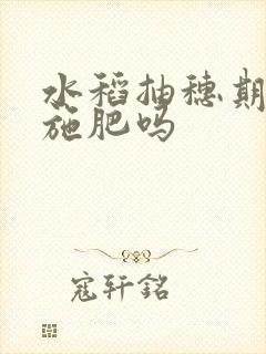 水稻抽穗期可以施肥吗