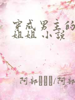 穿成男主的反派姐姐 小说
