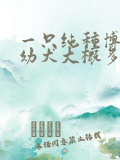 一只纯种博美犬幼犬大概多少钱 一只纯种博美犬幼犬大概多少钱