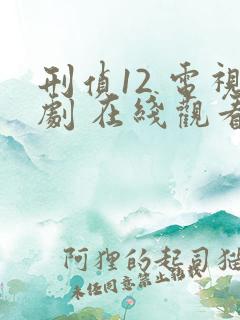 刑侦12 电视剧 在线观看
