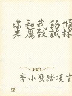 你和我的倾城时光厉致诚林浅