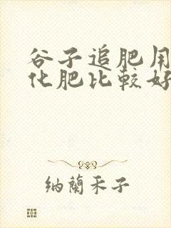 谷子追肥用什么化肥比较好 谷子追肥用什么化肥比较好