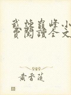 武炼巅峰小说免费阅读全文无弹窗