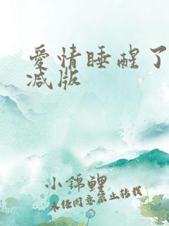 爱情睡醒了未删减版