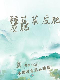 种蔬菜底肥施什么肥 种蔬菜底肥施什么肥