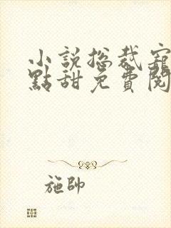 小说总裁宠妻有点甜免费阅读