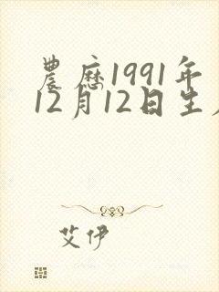 农历1991年12月12日生辰八字