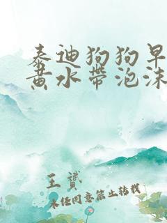 泰迪狗狗早上吐黄水带泡沫