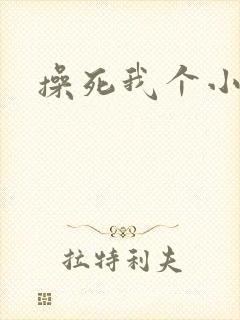 操死我个小骚货