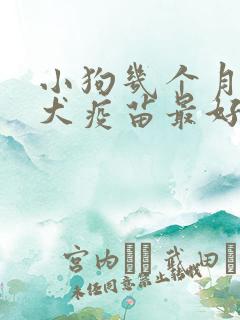 小狗几个月打狂犬疫苗最好