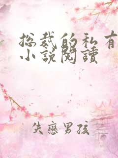 总裁的私有宝贝小说阅读