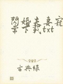 闪婚夫妻宠娃日常下载txt