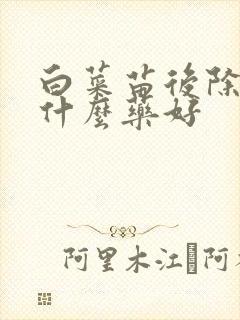 白菜苗后除草剂什么药好