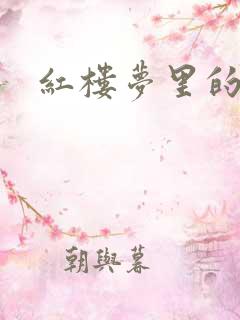 红楼梦里的丫鬟