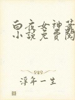 白夜女神萧婷的小说免费阅读全文
