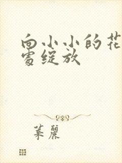 向小小的花蕾深处绽放