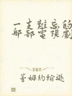 一支难忘的歌是哪部电视剧的插曲