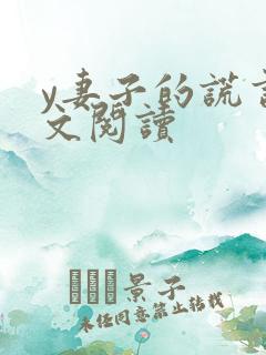 y妻子的谎言全文阅读