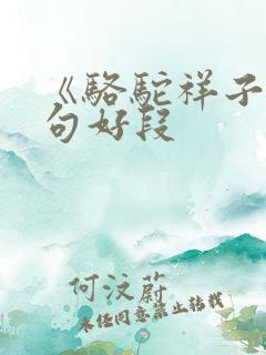 《骆驼祥子》好句好段