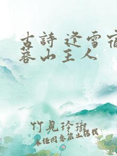 古诗 逢雪宿芙蓉山主人