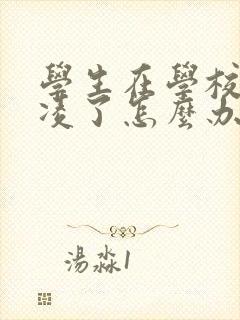 学生在学校被霸凌了怎么办