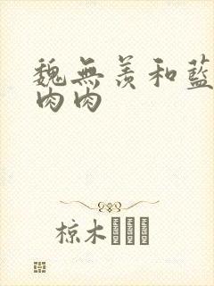 魏无羡和蓝忘机肉肉