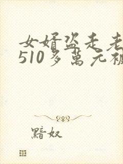 女婿盗走老丈人510多万元被判刑