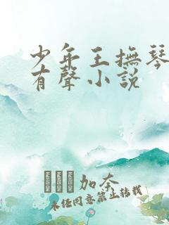 少年王抚琴的人有声小说
