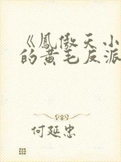 《凤傲天小说里的黄毛反派也想幸福》