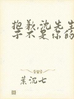 抱歉,沈先生孩子不是你的短剧
