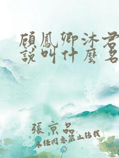 顾凤卿沐君辞小说叫什么名字
