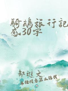 骑鹅旅行记读后感30字