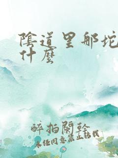 阴道里那坨肉是什么