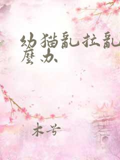 幼猫乱拉乱尿怎么办