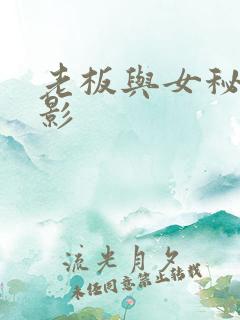 老板与女秘书电影
