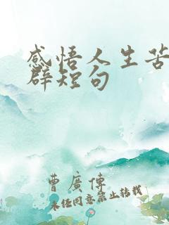 感悟人生苦短精辟短句