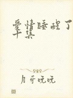 爱情睡醒了第三十集