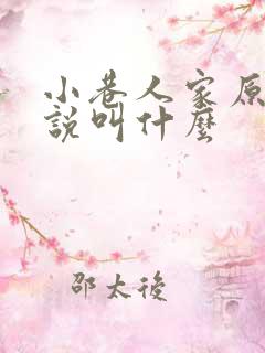 小巷人家原著小说叫什么