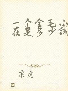 一个金毛小狗现在是多少钱