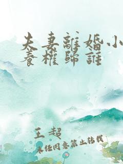 夫妻离婚小孩抚养权归谁