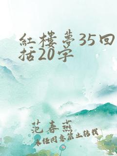红楼梦35回概括20字