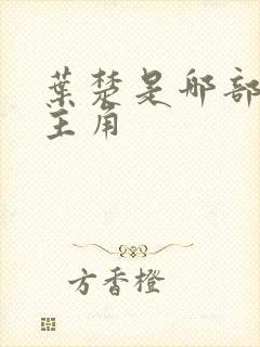 叶楚是哪部小说主角