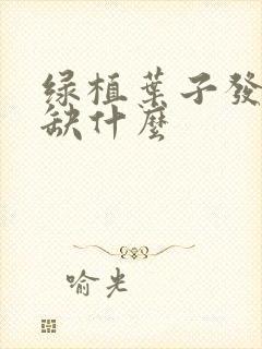 绿植叶子发黄是缺什么