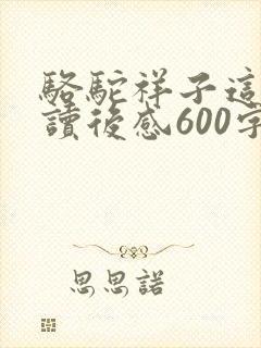 骆驼祥子这本书读后感600字